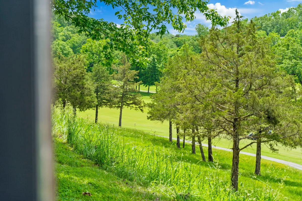The image showcases a lush green lawn framed by tall trees and an expansive open landscape, suggesting a peaceful environment ideal for morning walks, sunset picnics, or simply soaking in the natural beauty of the Ozarks.